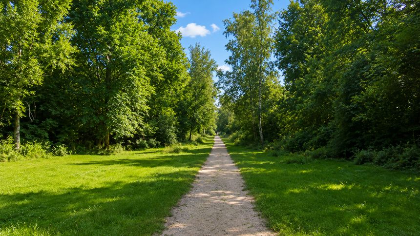 Паркът в Баня